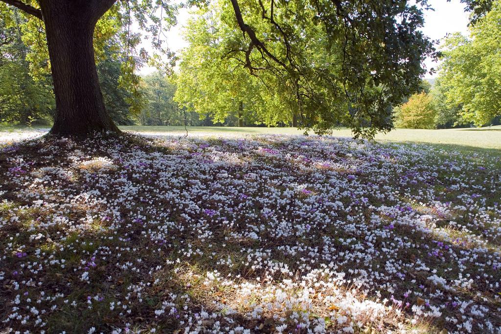 Domaine De La Tortiniere Hotell Veigné Eksteriør bilde
