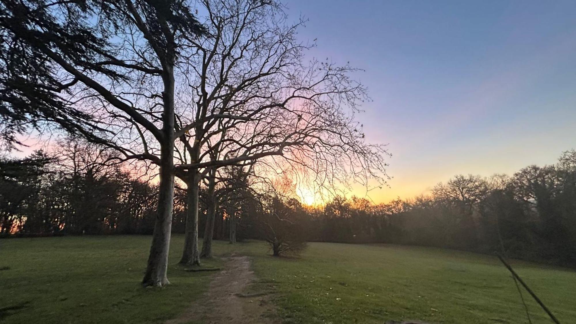 Domaine De La Tortiniere Hotell Veigné Eksteriør bilde